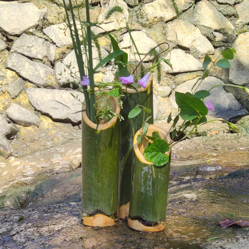 新鲜竹筒花瓶摆件绿色竹子花艺竹节环创意婚庆摆件道具