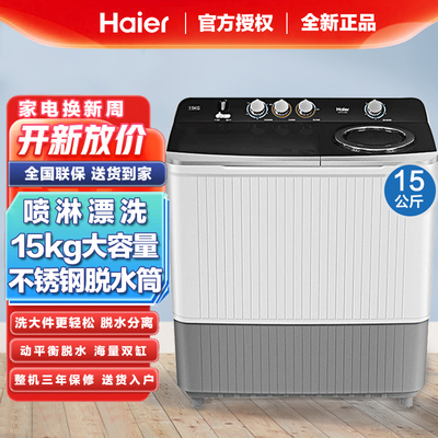 超大容量家用双动力双杠波轮