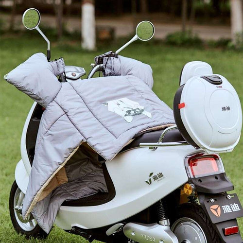 新品Windshield womens autumn winter pIu leather electric bo