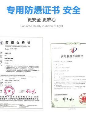 极速High-precision exprlosion-proof electronic scale explosi