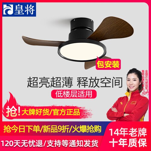 中山灯具风扇灯卧室灯风扇一体吊