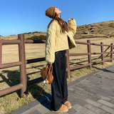 2C036-M319-P245-K380短款斜纹白鸭绒羽绒服（送针织围巾帽，女装羽绒服，2C036