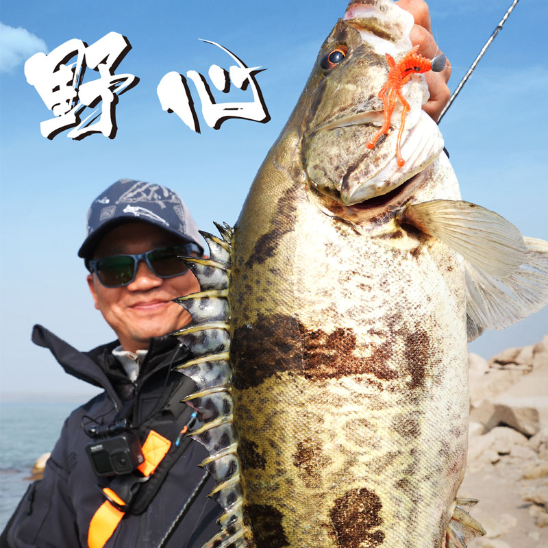 蓝旗鱼野心路亚竿新概念根钓全系路亚竿