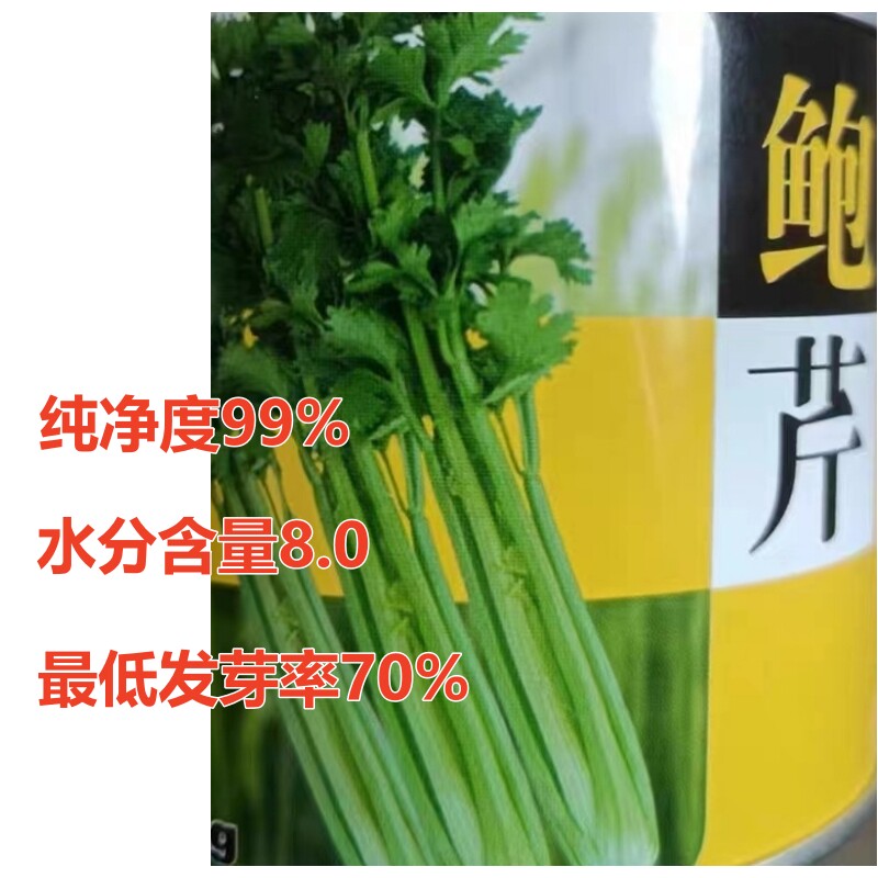 正宗鲍芹种子千古佳蔬脆甜无丝鲜嫩脆食芹菜种籽