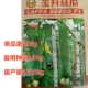 玉升丝瓜种子杂交青皮硬果青瓜四季 可种侧蔓结蔬菜种籽
