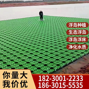生态浮岛水生植物种植浮岛浮床人工植物绿化造景改善水质景观浮床