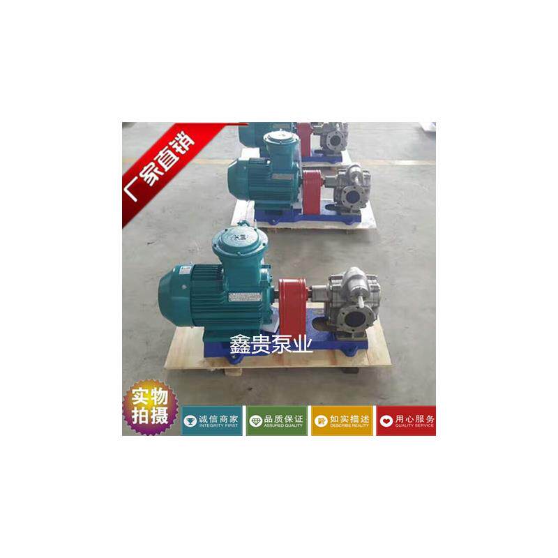 新款直销KCB-300不锈钢齿轮泵 花生油泵豆浆泵 食品泵 大流量包邮