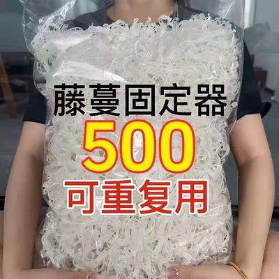 黄瓜西红柿豆角爬藤枝条固定器绿植蔬菜捆绑扎带藤蔓专用园林工具