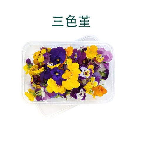 三色堇食用花新鲜当天采摘 现货包邮 西餐蛋糕 装饰摆盘蝴蝶1小盒