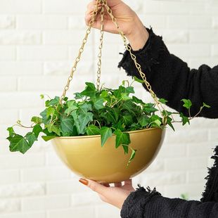吊盆花架绿萝吊兰盆挂钩挂式 铁艺花盆垂吊挂篮吊篮悬挂式 花盆铁盆