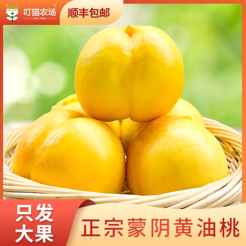 蒙阴头茬黄油桃现采现发顺丰