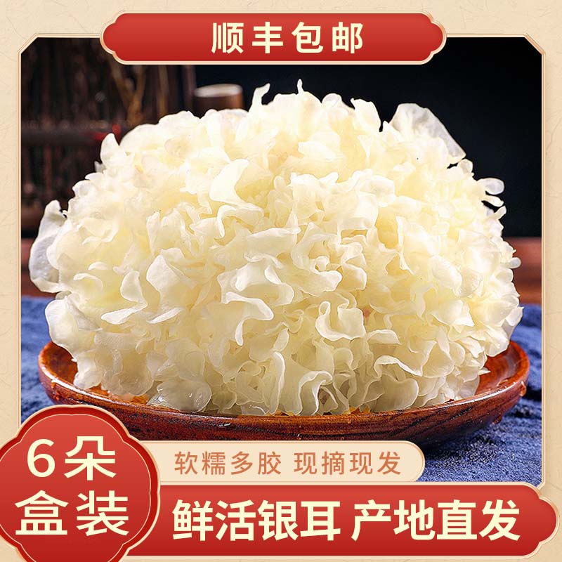 新鲜银耳白木耳鲜雪耳非干货古田糯银耳莲子羹6朵盒装活银耳