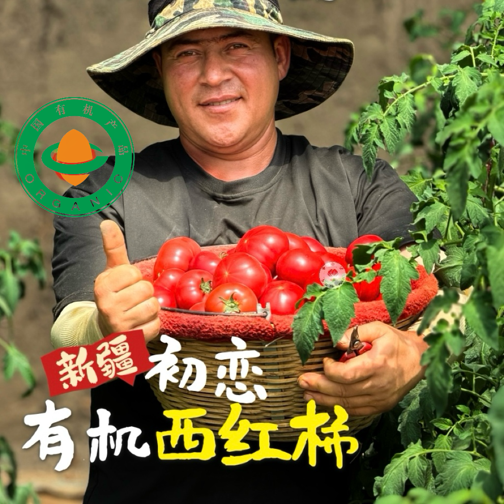 半亩园有机番茄5斤0农残孕婴