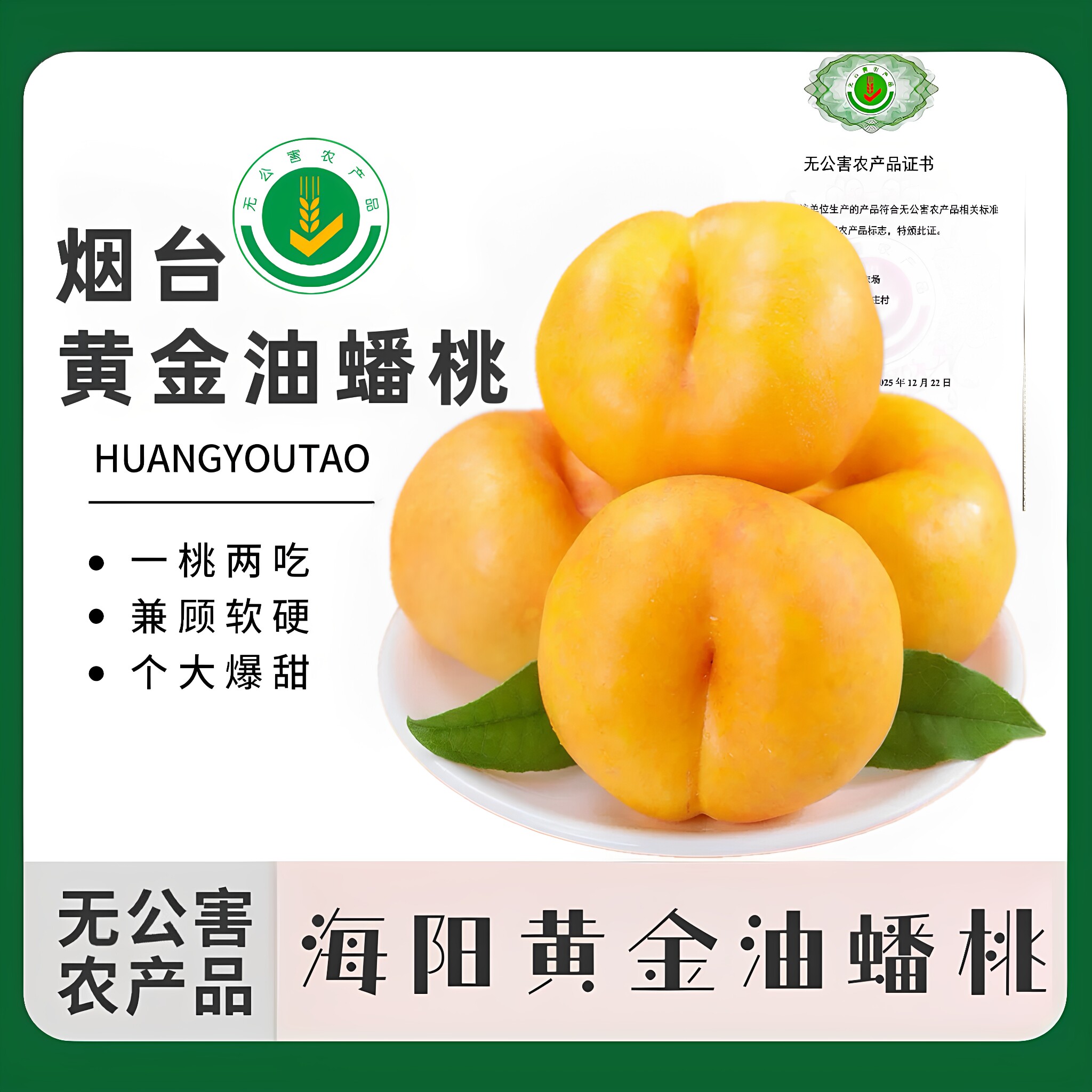 正宗海阳彩虹油蟠7-7黄油桃顺丰