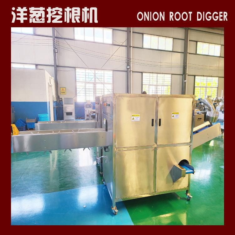 洋葱挖根机源头厂家双头可调高效省时可洋葱酥加工流水线设备