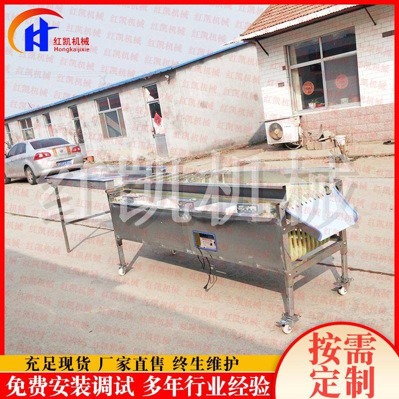 厂家供应水果分选机设备 轨道式分选机设备 砂糖橘选果机设备
