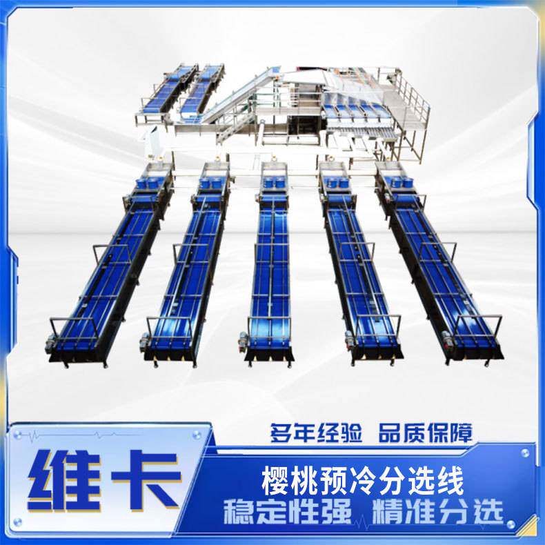大樱桃直径选果机 预冷清洗无损分选 樱珠车厘子分选机分级机厂家