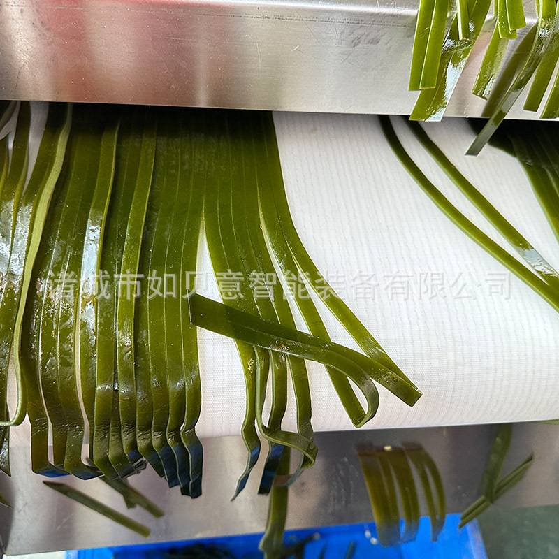 商用扁豆切丝机 多功能切片切丝设备 预制菜干辣椒切丝机