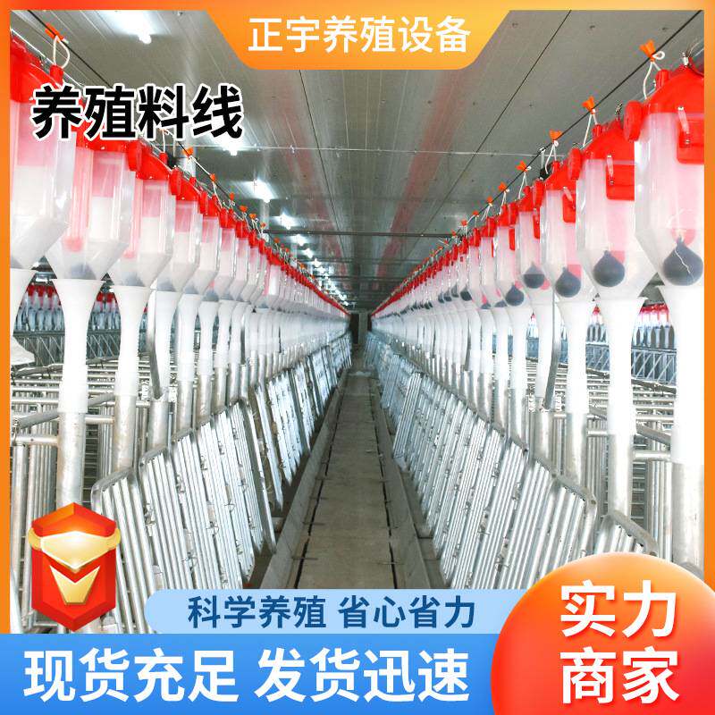 猪舍料塔料线养殖场用自动上料设备全套自动化输送料线养殖料线