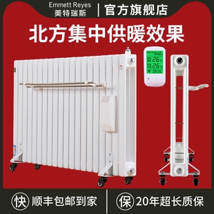 家用注水电暖器加水插电暖气片散暖取暖器热片集中供暖全屋加热水