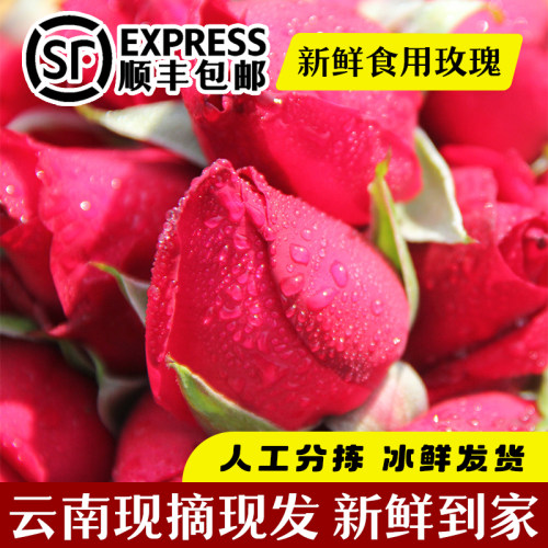 云南高原墨红玫瑰鲜花可食用鲜花