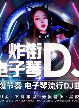车载u盘电子琴轻纯音乐重低音dj歌曲试音发烧古典无损音质32g优盘