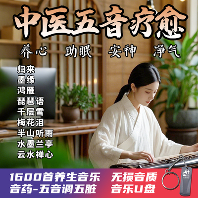 车载U盘轻音乐五音疗愈音药古典纯音乐古琴古筝琵琶精心养生优盘