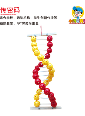 S8遗传密码DNA双螺旋结构生物初小学科学实验器材小问号STEAM教具