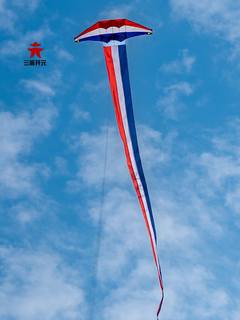 2023新款风筝滑翔机伞伞布大型抗大风微风易飞初学者大人专用风筝