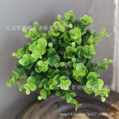 仿真尤加利植物墙配材金钱叶怡心草绿景工程装饰配材
