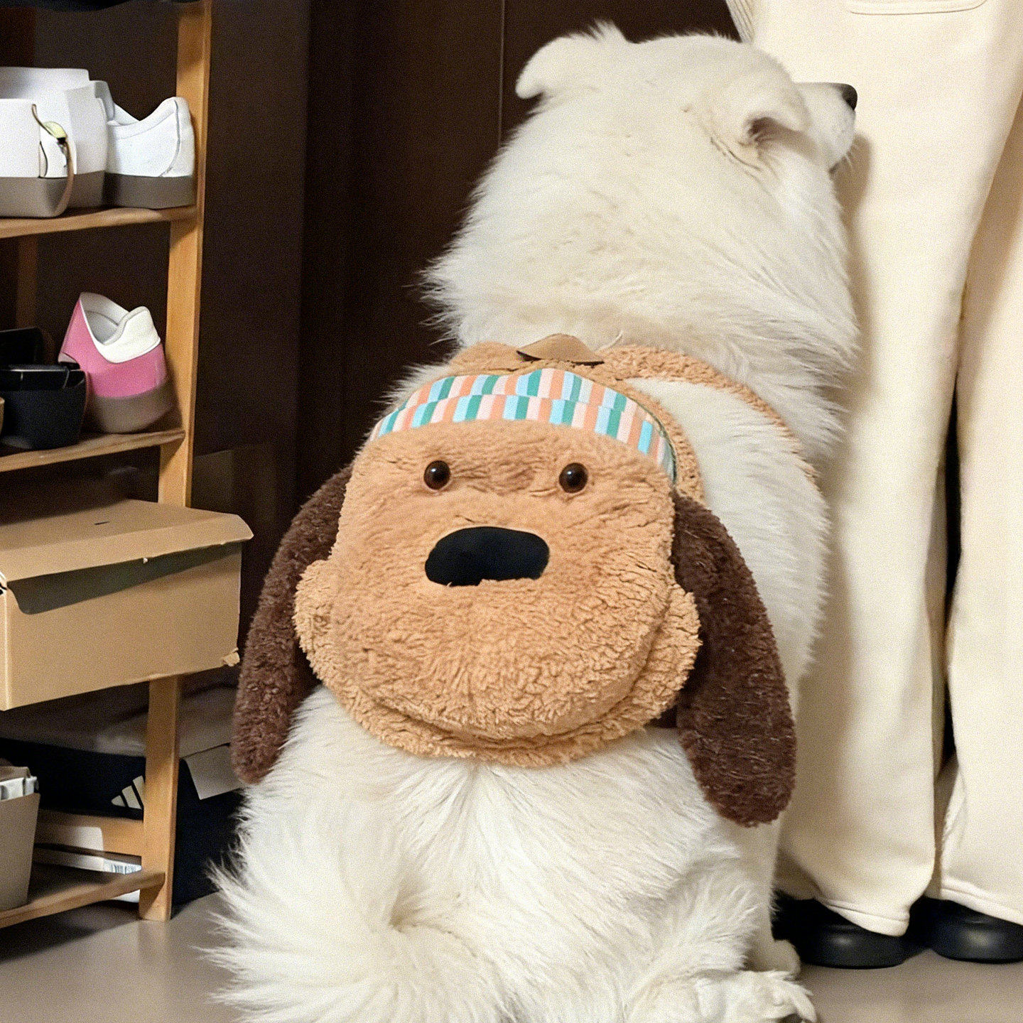 宠物狗狗自背包大型犬外出便携书包萨摩耶金毛可爱毛绒包包配饰,宠物/宠物食品及用品,宠物背包,淘宝优惠券,粉丝福利购,淘宝优惠卷