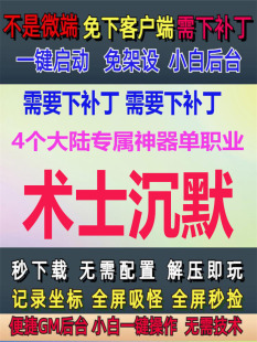 PC单机术士沉默神器单职业4个大陆GM后台大背包全屏拾取GOM