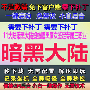 10G-PC单机11大陆暗黑大陆蚂蚁暗黑魔次专属三职业GM后台大背包LF