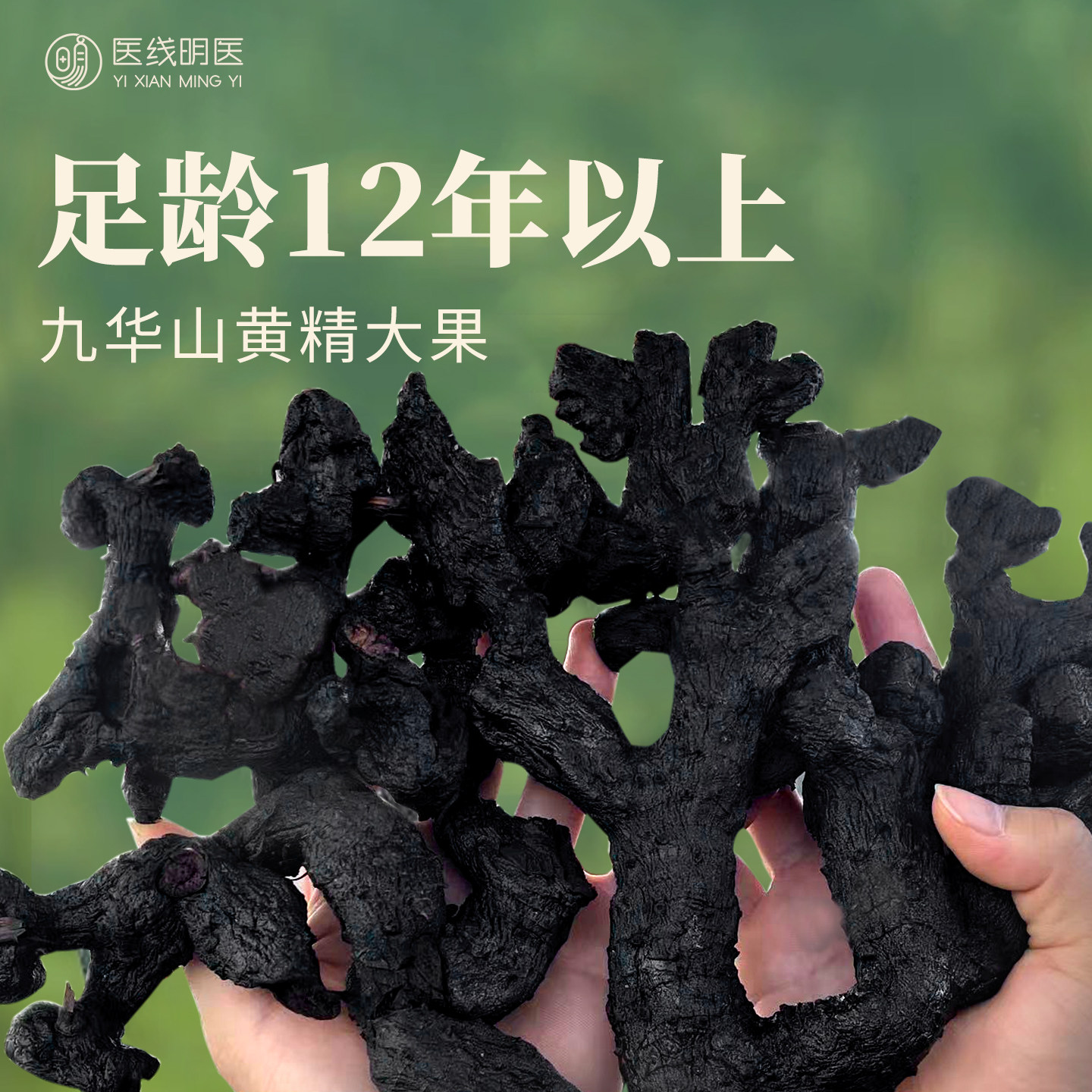 黄精九蒸九制九晒九华山即食新鲜多花黄精医线明医正品官方旗舰店