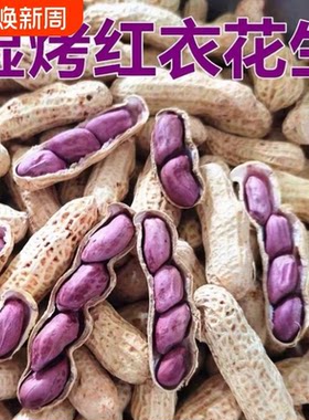花生福建龙岩湿烤花生带壳正宗水煮咸干原味紫衣红皮袋装连城食品