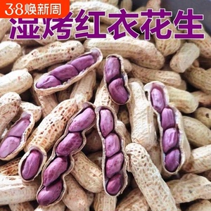 花生福建龙岩湿烤花生带壳正宗水煮咸干原味紫衣红皮袋装连城食品