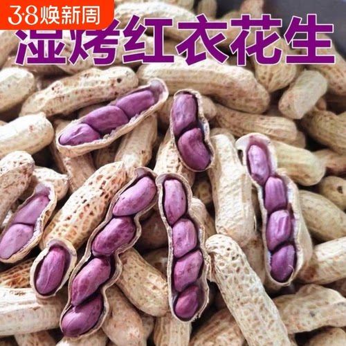 花生福建龙岩湿烤花生带壳正宗水煮咸干原味紫衣红皮袋装连城食品