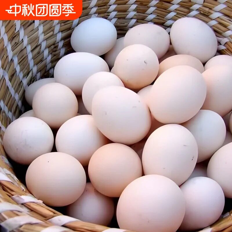 土鸡蛋正宗农家散养草鸡蛋新鲜