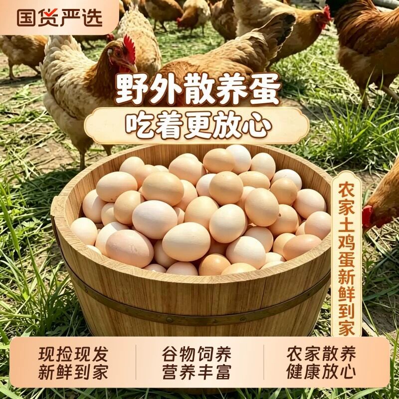 正宗土鸡蛋笨鸡蛋柴鸡蛋月子蛋