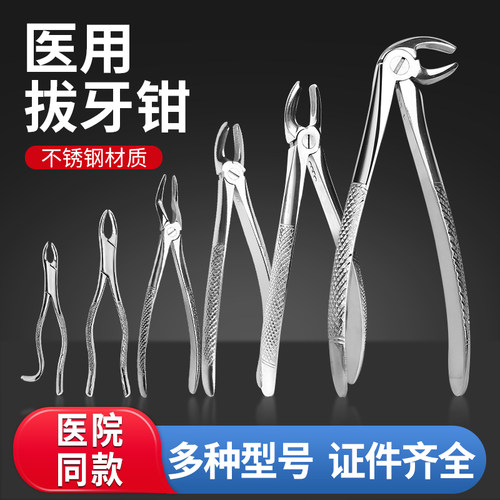 医用成人拔牙钳智齿乳牙钳上下颌牙钳牙科口腔器械钳子拔牙器