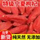 枸杞子宁夏正宗头茬大果特级红枸杞茶泡水干果构起袋装 特优新货