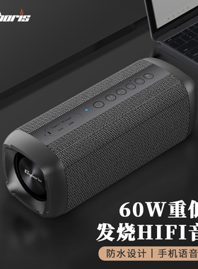 Cyboris/赛柏瑞斯 S62025新款蓝牙音响高音质立体声发重低音炮户