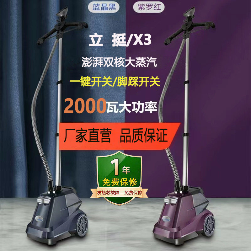 挂烫机家用第一名一挺立挺大蒸汽服装店商用家用立式熨烫机电烫斗图片