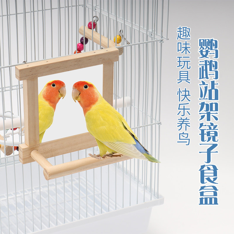 鹦鹉用品虎皮牡丹玄凤啃咬棒花椒木站架镜子小站台鸟笼站架杆玩具,宠物/宠物食品及用品,鸟玩具,淘宝优惠券,粉丝福利购,淘宝优惠卷