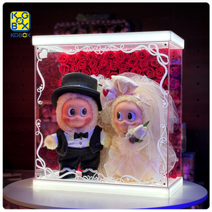 KGBOX适用泡泡玛特星星人怦然星动毛绒公仔情人节永生花展示盒