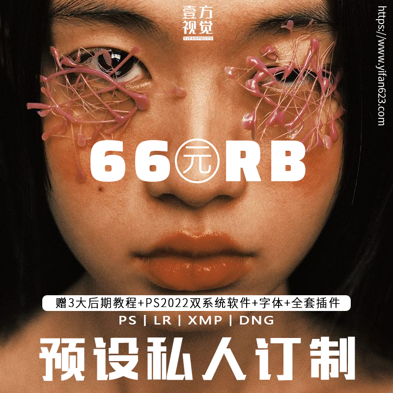 Lightroom预设 私人订制化服务 手机LR/PR滤镜/PS调色/达芬奇FCPX