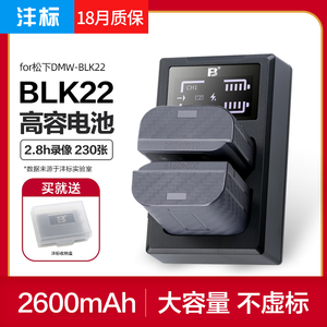 沣标DMW-BLK22电池松下DC-S5 S5K S5M2 GH6 GH5M2 S5GK S52微单S1二代mark2充电器Lumix相机W/C/K配件非原装