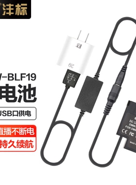沣标松下DMW-BLF19E模拟电池+电源适配器DMC-GH4 GH5 GH3直播供电套装GH5S单反DC-G9LGK微单PDZ-BLF19E假电池