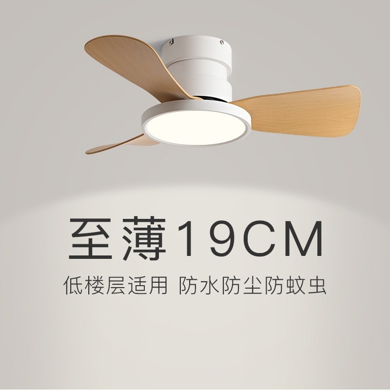 小型卧室风扇灯2025年新款家用小吊扇灯尺寸餐厅静音过道阳台吸顶