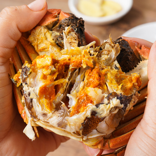 黄河口大闸蟹 秋之至味大闸蟹礼盒